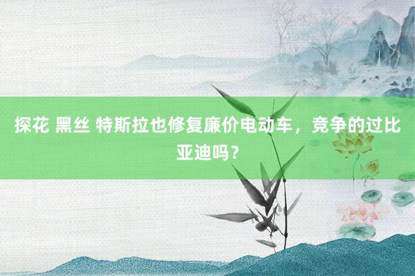 探花 黑丝 特斯拉也修复廉价电动车，竞争的过比亚迪吗？