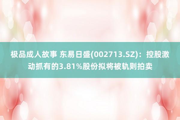 极品成人故事 东易日盛(002713.SZ)：控股激动抓有的3.81%股份拟将被轨则拍卖