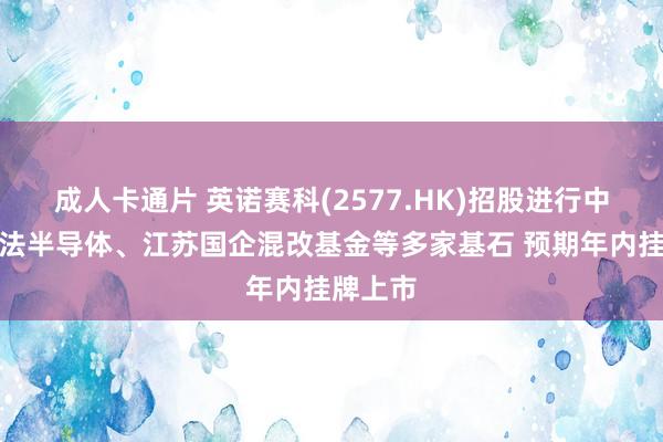 成人卡通片 英诺赛科(2577.HK)招股进行中：引意法半导体、江苏国企混改基金等多家基石 预期年内挂牌上市
