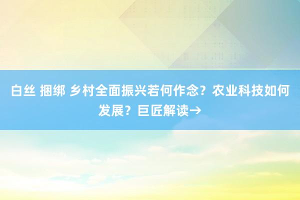 白丝 捆绑 乡村全面振兴若何作念？农业科技如何发展？巨匠解读→