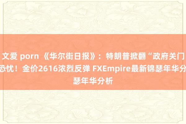 文爱 porn 《华尔街日报》：特朗普掀翻“政府关门”恐忧！金价2616浓烈反弹 FXEmpire最新锦瑟年华分析