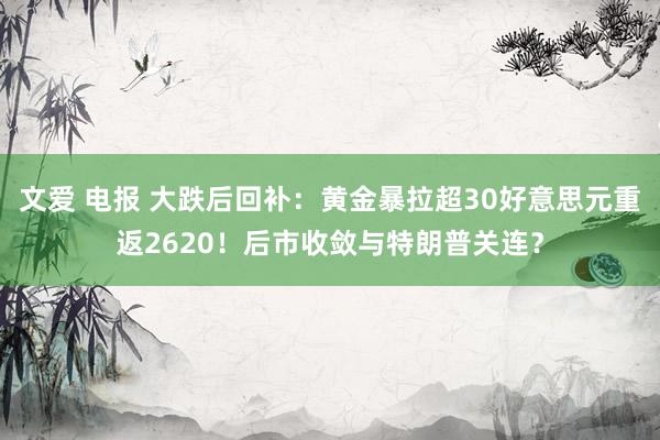 文爱 电报 大跌后回补：黄金暴拉超30好意思元重返2620！后市收敛与特朗普关连？