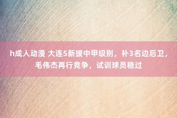 h成人动漫 大连5新援中甲级别，补3名边后卫，毛伟杰再行竞争，试训球员稳过