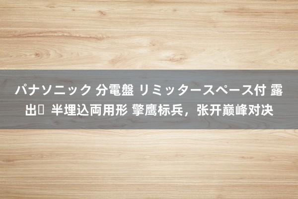 パナソニック 分電盤 リミッタースペース付 露出・半埋込両用形 擎鹰标兵，张开巅峰对决