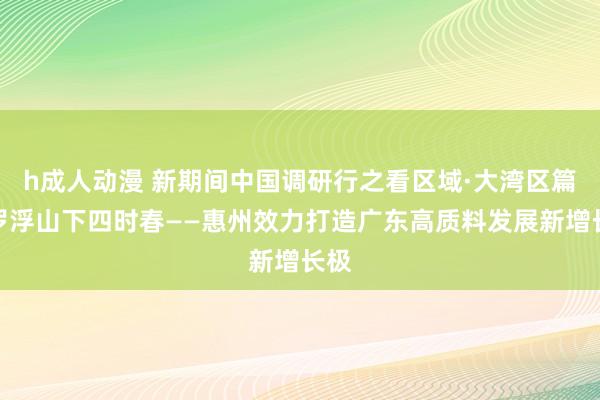 h成人动漫 新期间中国调研行之看区域·大湾区篇丨罗浮山下四时春——惠州效力打造广东高质料发展新增长极