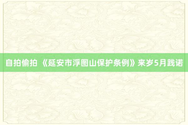 自拍偷拍 《延安市浮图山保护条例》来岁5月践诺