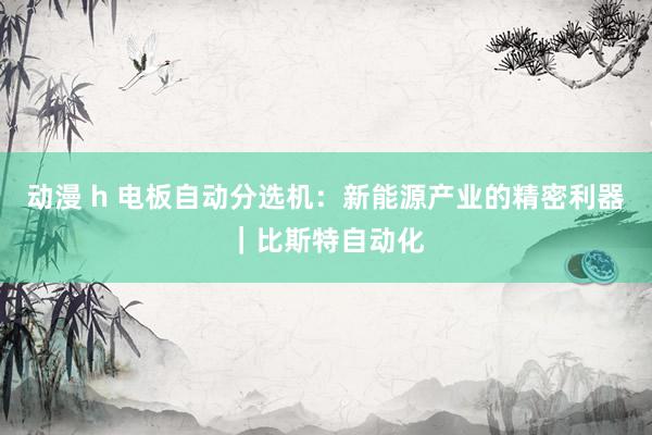动漫 h 电板自动分选机：新能源产业的精密利器｜比斯特自动化