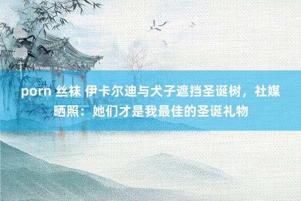 porn 丝袜 伊卡尔迪与犬子遮挡圣诞树，社媒晒照：她们才是我最佳的圣诞礼物