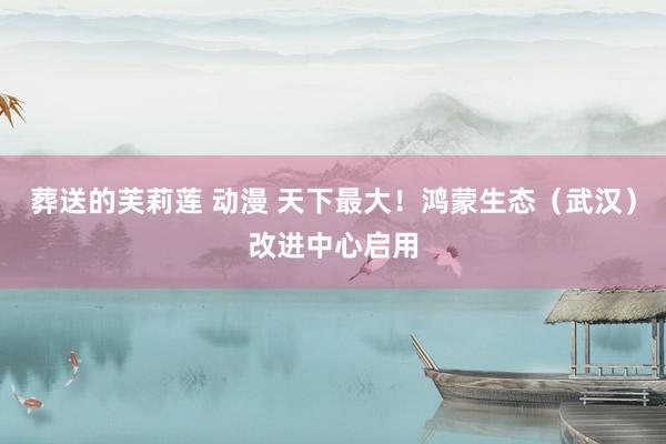 葬送的芙莉莲 动漫 天下最大！鸿蒙生态（武汉）改进中心启用