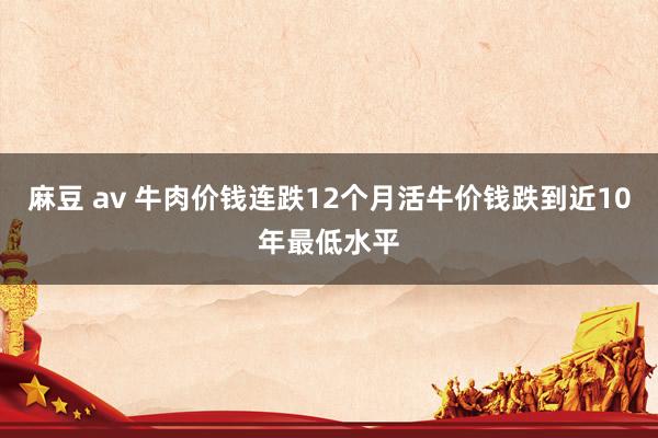 麻豆 av 牛肉价钱连跌12个月活牛价钱跌到近10年最低水平