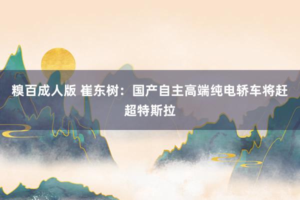 糗百成人版 崔东树：国产自主高端纯电轿车将赶超特斯拉