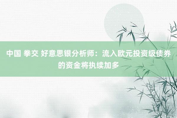 中国 拳交 好意思银分析师：流入欧元投资级债券的资金将执续加多