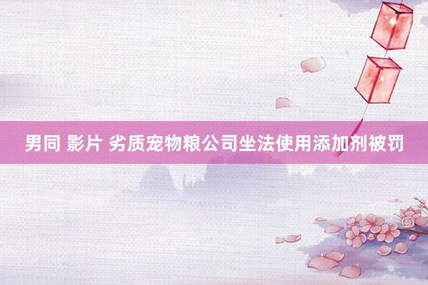 男同 影片 劣质宠物粮公司坐法使用添加剂被罚