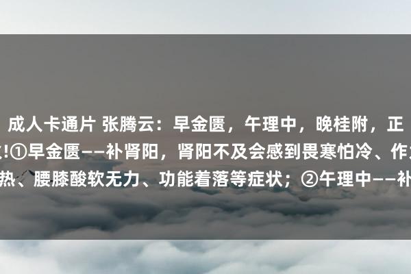 成人卡通片 张腾云：早金匮，午理中，晚桂附，正确补阳，补到根上不上火!①早金匮——补肾阳，肾阳不及会感到畏寒怕冷、作为冰凉暖不热、腰膝酸软无力、功能着落等症状；②午理中——补脾阳，脾阳不及会感到食欲着落、一...