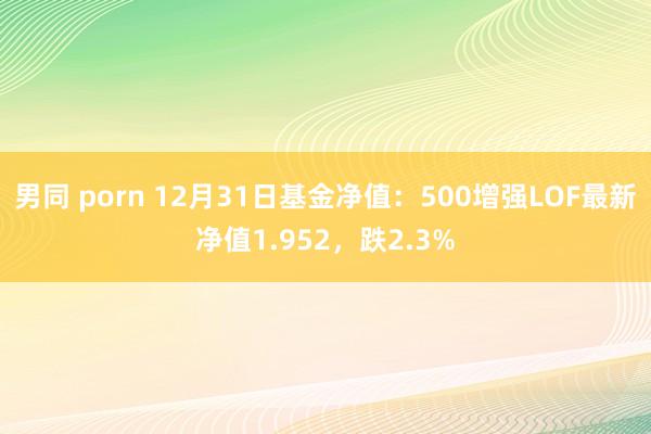 男同 porn 12月31日基金净值：500增强LOF最新净值1.952，跌2.3%