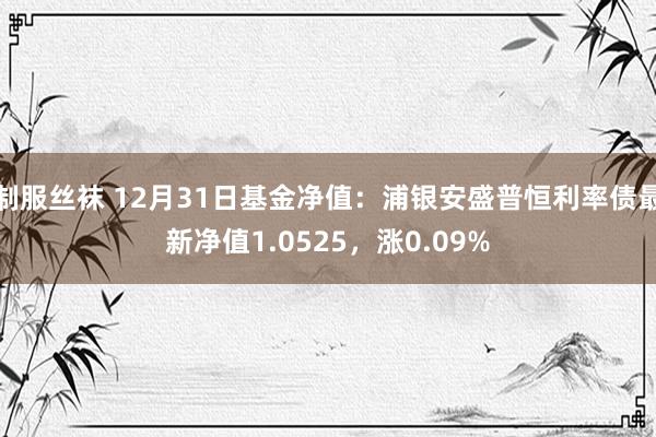 制服丝袜 12月31日基金净值：浦银安盛普恒利率债最新净值1.0525，涨0.09%