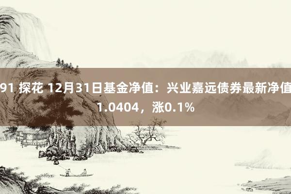 91 探花 12月31日基金净值：兴业嘉远债券最新净值1.0404，涨0.1%