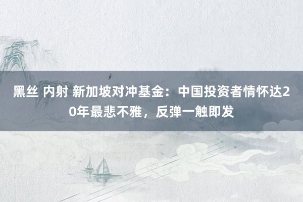 黑丝 内射 新加坡对冲基金：中国投资者情怀达20年最悲不雅，反弹一触即发