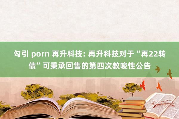 勾引 porn 再升科技: 再升科技对于“再22转债”可秉承回售的第四次教唆性公告