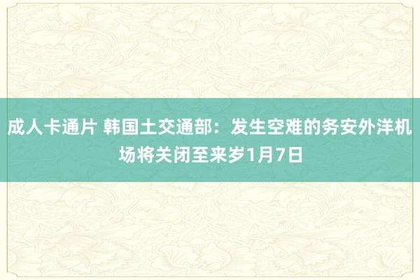 成人卡通片 韩国土交通部：发生空难的务安外洋机场将关闭至来岁1月7日