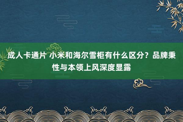 成人卡通片 小米和海尔雪柜有什么区分？品牌秉性与本领上风深度显露
