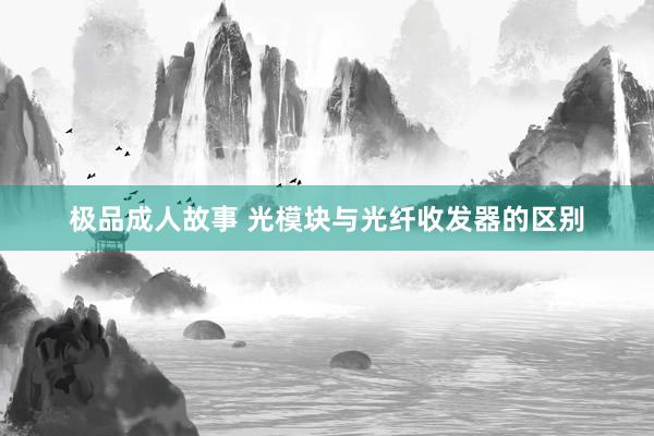 极品成人故事 光模块与光纤收发器的区别