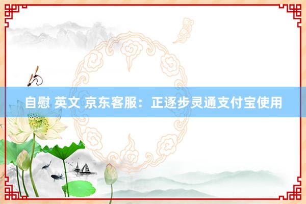自慰 英文 京东客服：正逐步灵通支付宝使用