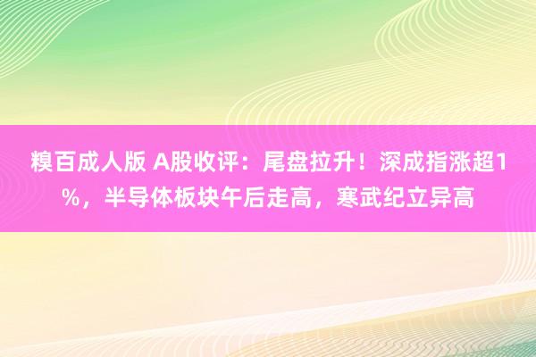糗百成人版 A股收评：尾盘拉升！深成指涨超1%，半导体板块午后走高，寒武纪立异高