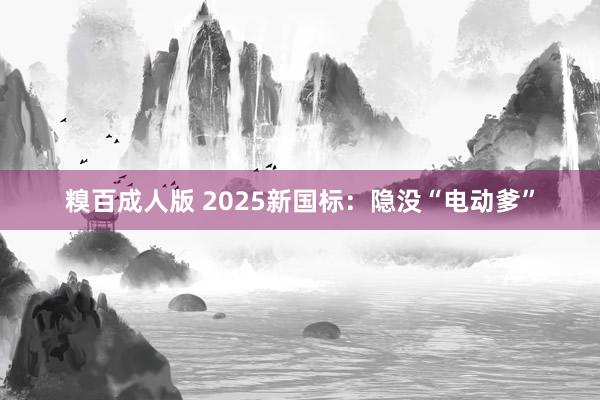 糗百成人版 2025新国标：隐没“电动爹”