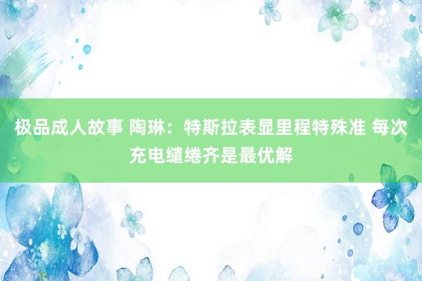 极品成人故事 陶琳：特斯拉表显里程特殊准 每次充电缱绻齐是最优解