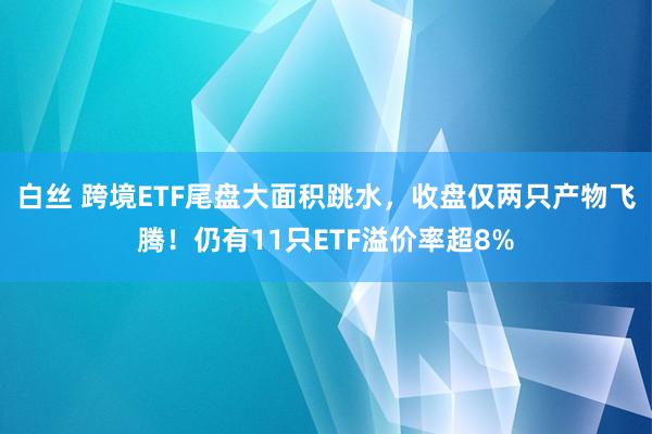 白丝 跨境ETF尾盘大面积跳水，收盘仅两只产物飞腾！仍有11只ETF溢价率超8%