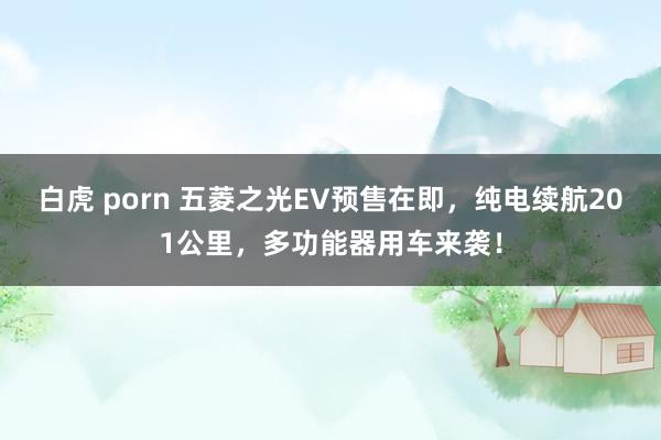 白虎 porn 五菱之光EV预售在即，纯电续航201公里，多功能器用车来袭！