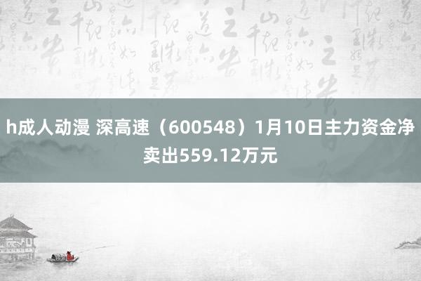 h成人动漫 深高速（600548）1月10日主力资金净卖出559.12万元
