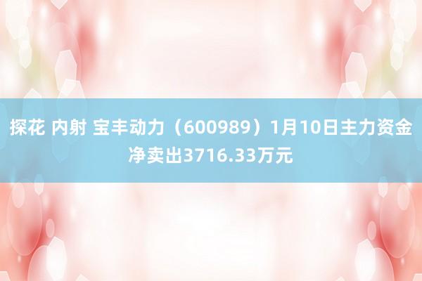 探花 内射 宝丰动力（600989）1月10日主力资金净卖出3716.33万元