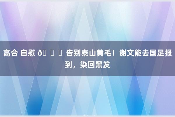 高合 自慰 💇告别泰山黄毛！谢文能去国足报到，染回黑发
