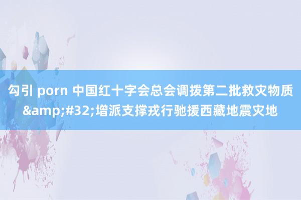 勾引 porn 中国红十字会总会调拨第二批救灾物质&#32;增派支撑戎行驰援西藏地震灾地