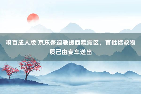 糗百成人版 京东蹙迫驰援西藏震区，首批拯救物质已由专车送出