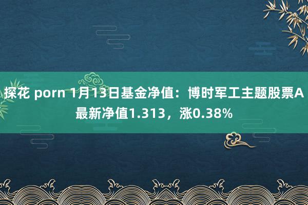 探花 porn 1月13日基金净值：博时军工主题股票A最新净值1.313，涨0.38%