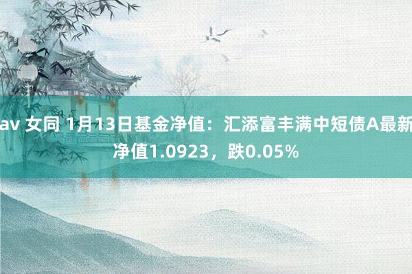 av 女同 1月13日基金净值：汇添富丰满中短债A最新净值1.0923，跌0.05%