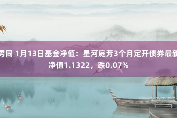 男同 1月13日基金净值：星河庭芳3个月定开债券最新净值1.1322，跌0.07%