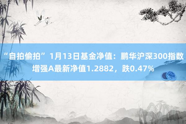“自拍偷拍” 1月13日基金净值：鹏华沪深300指数增强A最新净值1.2882，跌0.47%