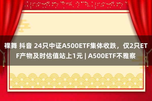 裸舞 抖音 24只中证A500ETF集体收跌，仅2只ETF产物及时估值站上1元 | A500ETF不雅察