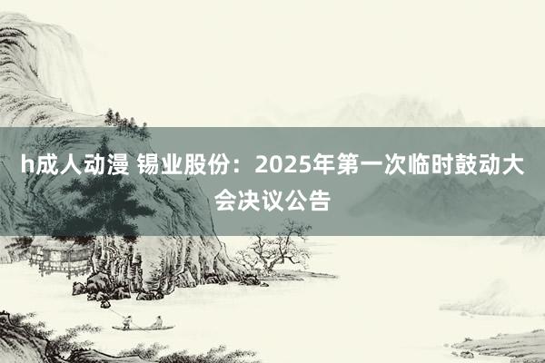 h成人动漫 锡业股份：2025年第一次临时鼓动大会决议公告