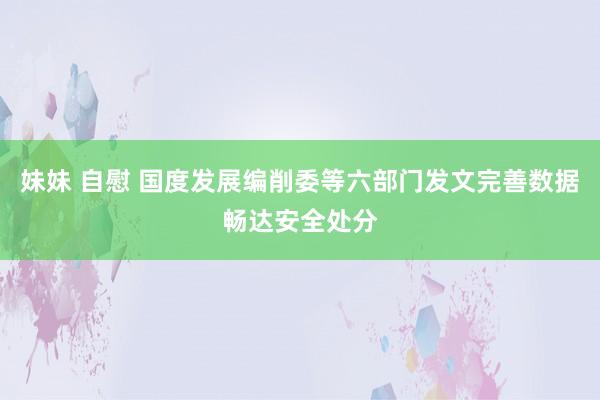 妹妹 自慰 国度发展编削委等六部门发文完善数据畅达安全处分