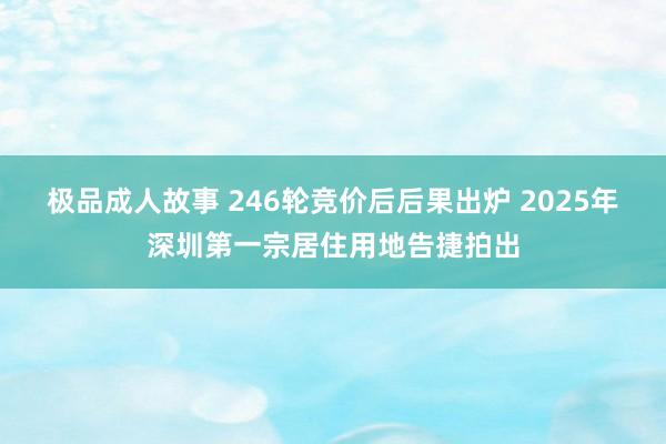 极品成人故事 246轮竞价后后果出炉 2025年深圳第一宗居住用地告捷拍出