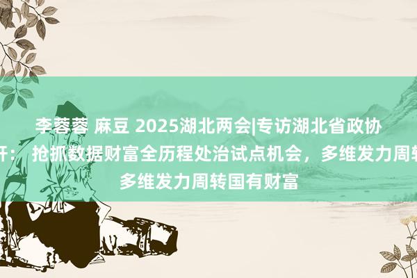 李蓉蓉 麻豆 2025湖北两会|专访湖北省政协委员梅佑轩： 抢抓数据财富全历程处治试点机会，多维发力周转国有财富