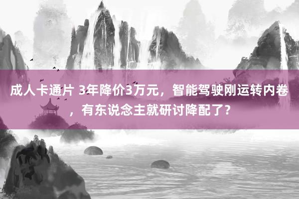 成人卡通片 3年降价3万元，智能驾驶刚运转内卷，有东说念主就研讨降配了？