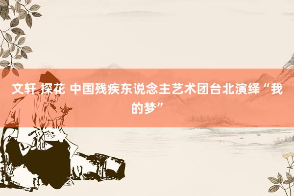 文轩 探花 中国残疾东说念主艺术团台北演绎“我的梦”