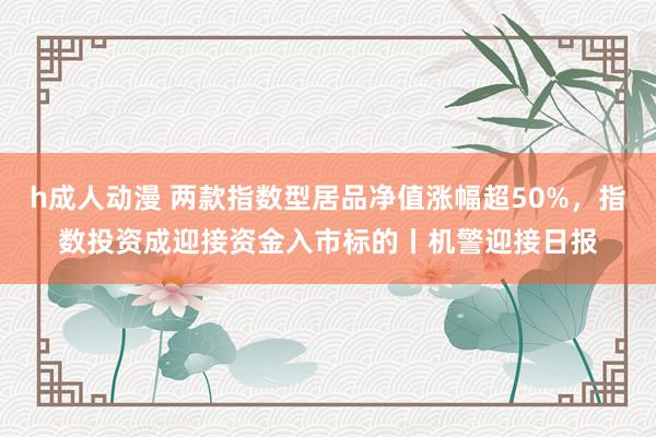 h成人动漫 两款指数型居品净值涨幅超50%，指数投资成迎接资金入市标的丨机警迎接日报
