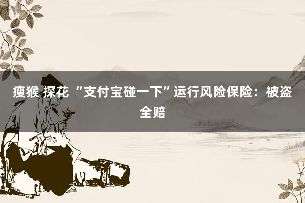瘦猴 探花 “支付宝碰一下”运行风险保险：被盗全赔